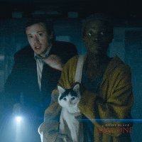 Quiet Place GIFs - Find & Share on GIPHY