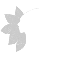 HealthCie Sticker