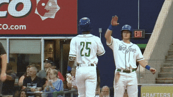 High Five Up Top GIF by Hartford Yard Goats
