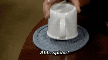 Scared Spider GIF by Last Man Standing