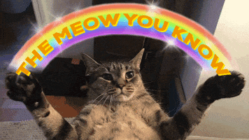 Kitty GIF