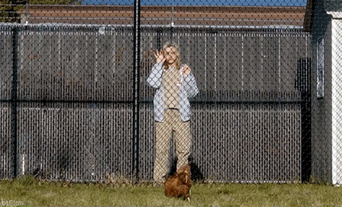 Orange Is The New Black Television GIF - Find & Share on GIPHY
