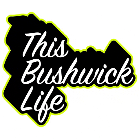 Flashing New York City GIF by This Bushwick Life