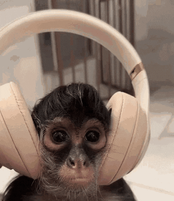 Headphones GIF by mjm1724