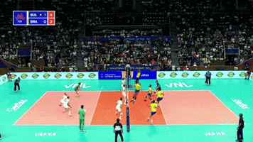 Get Out Wow GIF by Volleyball World