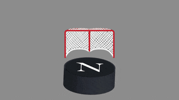 College Hockey GIF by Northeastern University