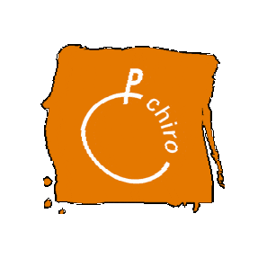 Logo Sticker by Chiro