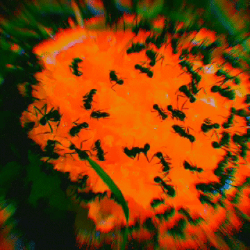 giphy.gif?cid=4d1e4f2971d494c52d7e64c90183baef95d3b5b17e090306&rid=giphy.gif