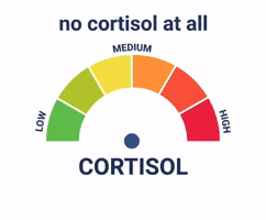 Ur Cortisol GIF