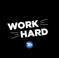 Grupo All Net GIF