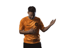 Huis van Oranje Sticker