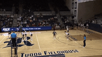 Rice University College GIF by Rice Owls