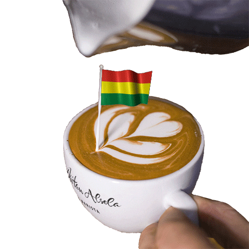 Coffee Time Bolivia GIF by Dritan Alsela Coffee