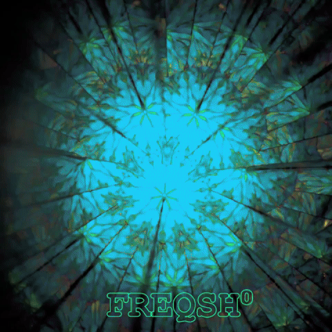 Freqsh GIF