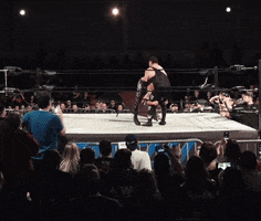 Jerry Lawler Pile Driver GIF by SUPER LTD