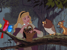 Watching Princess Aurora GIF by Disney