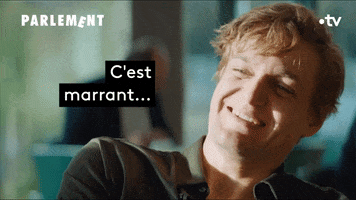 Fun Mean GIF by France tv
