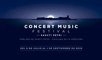 Concert Music Festival GIF