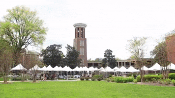 Belmont Entrepreneurship GIF