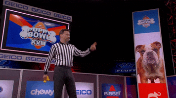 Tap Out Animal Planet GIF by Puppy Bowl