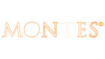 Wine Vino Sticker by Montes Wines