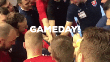 GIF by slovakhandball