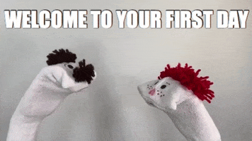 YourHappyWorkplace welcome puppets first day your happy workplace GIF