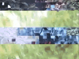 Music GIF
