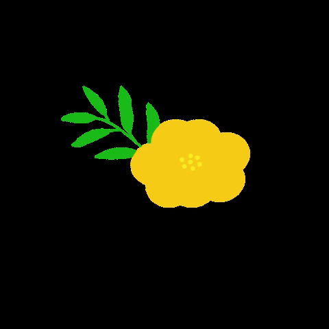 Retour à L'essentiel GIF