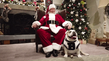 Merry Christmas Dog GIF by Butler University