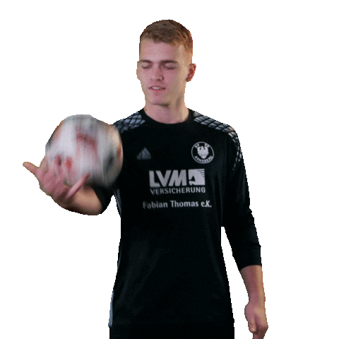 SV Arnsberg 09 Sticker