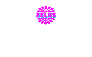 Mexican Brunch Sticker by House of Xelas
