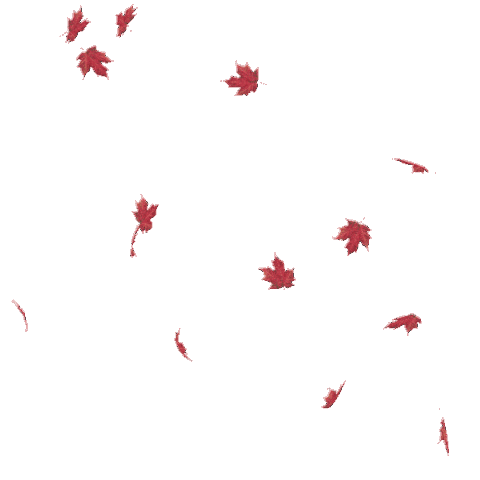 Fall Autumn Sticker By Dp Animation Maker For Ios Android Giphy