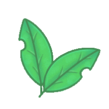 Green Sticker