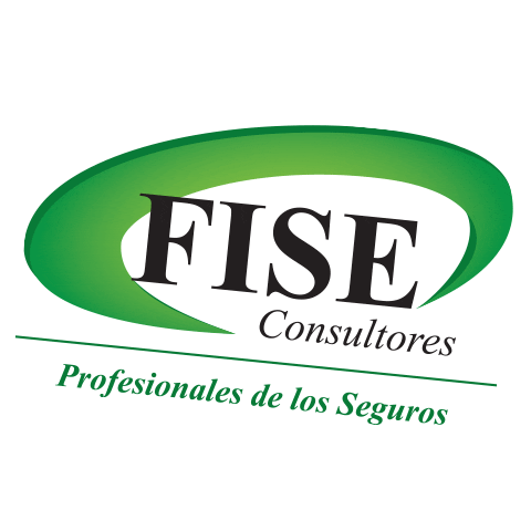 FISE Consultores Sticker