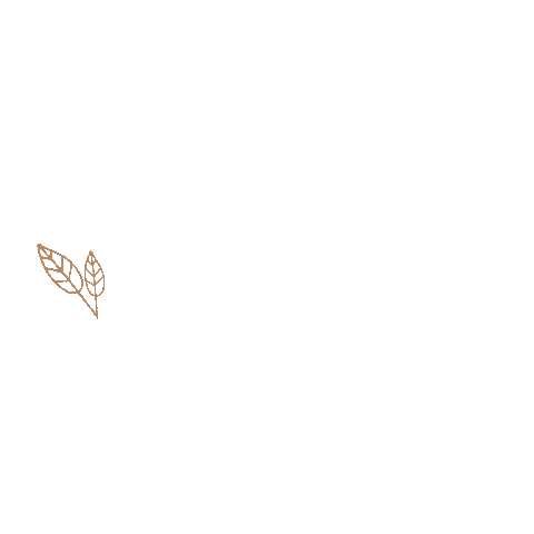 100 Natural Sticker by Lederlotta