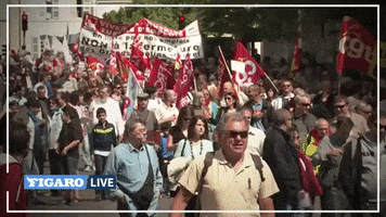 France Manifestation GIF by Le Figaro