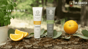 Toothpaste Mens Health GIF by DrSquatchSoapCo