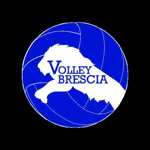 volleybrescia.it GIF