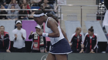 Usa Winning GIF by Fed Cup by BNP Paribas