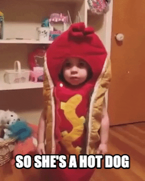 Hot Dog GIF by Storyful