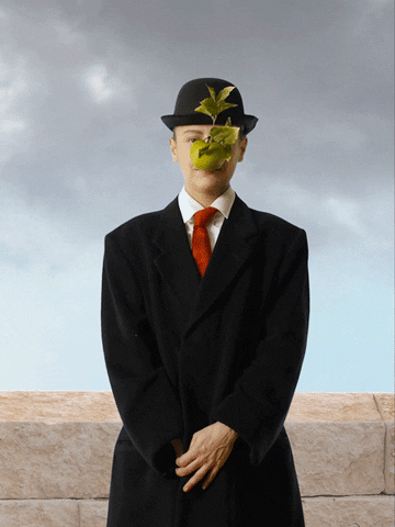WitloofCollective humour balls magritte bolas GIF
