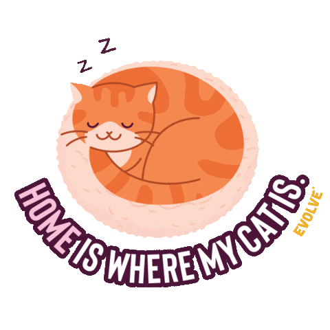 Cats Sleeping Sticker by Sunshine Mills