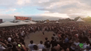 Rtmf Pedrobarros GIF by Greenplace TV