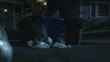 GIF by GEICO