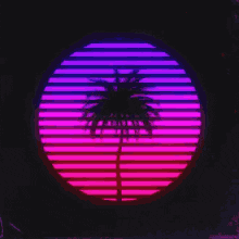 Fiftyrock retro sun vaporwave palm tree GIF
