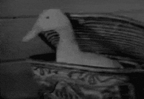 hans richter art GIF by hoppip