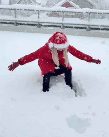 Christmas Hello GIF by Sigrun