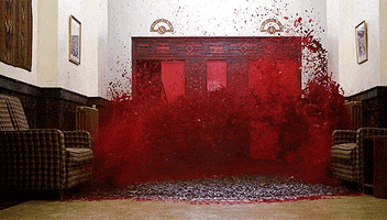 the shining the shining