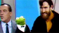 Kermit The Frog Puppet GIF